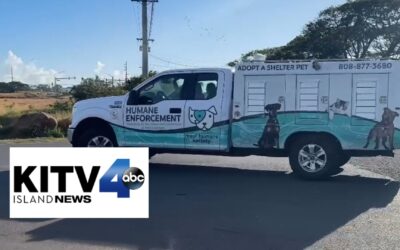 Maui Humane Society saves dogs from Wailuku blaze; urges pet prep