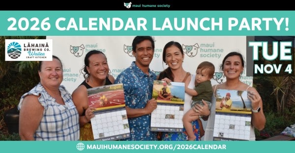 2026 calendar Launch Party - event