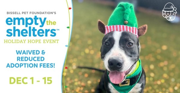 ETS dec 2025 ETS dec 2025