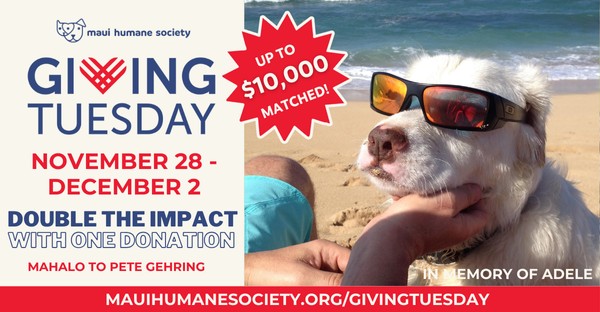 Giving Tuesday 2025 - event